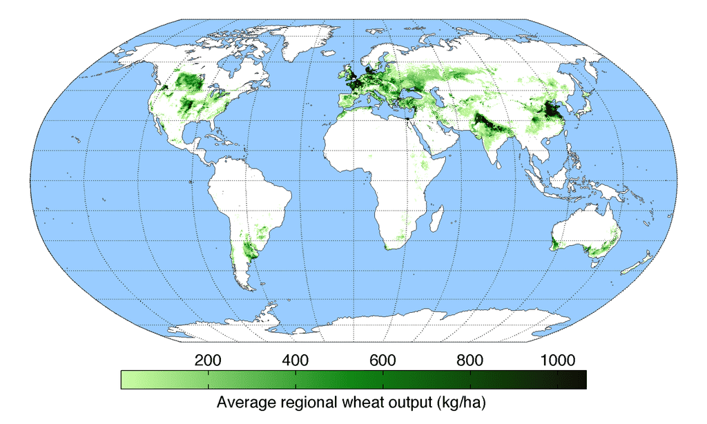 Wheat Yield by country